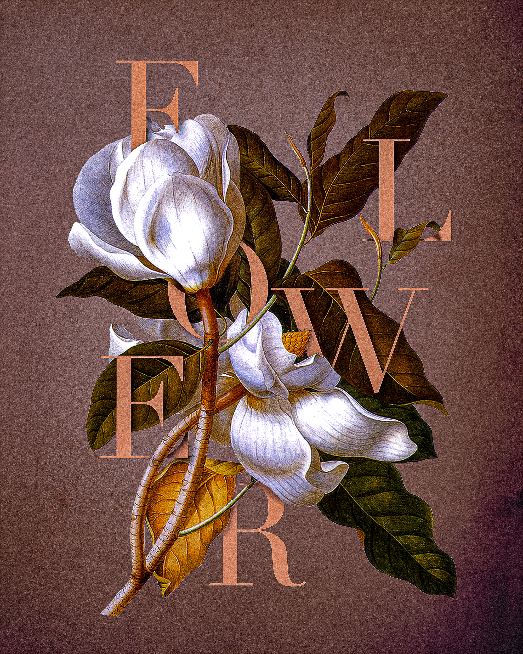 poster Design